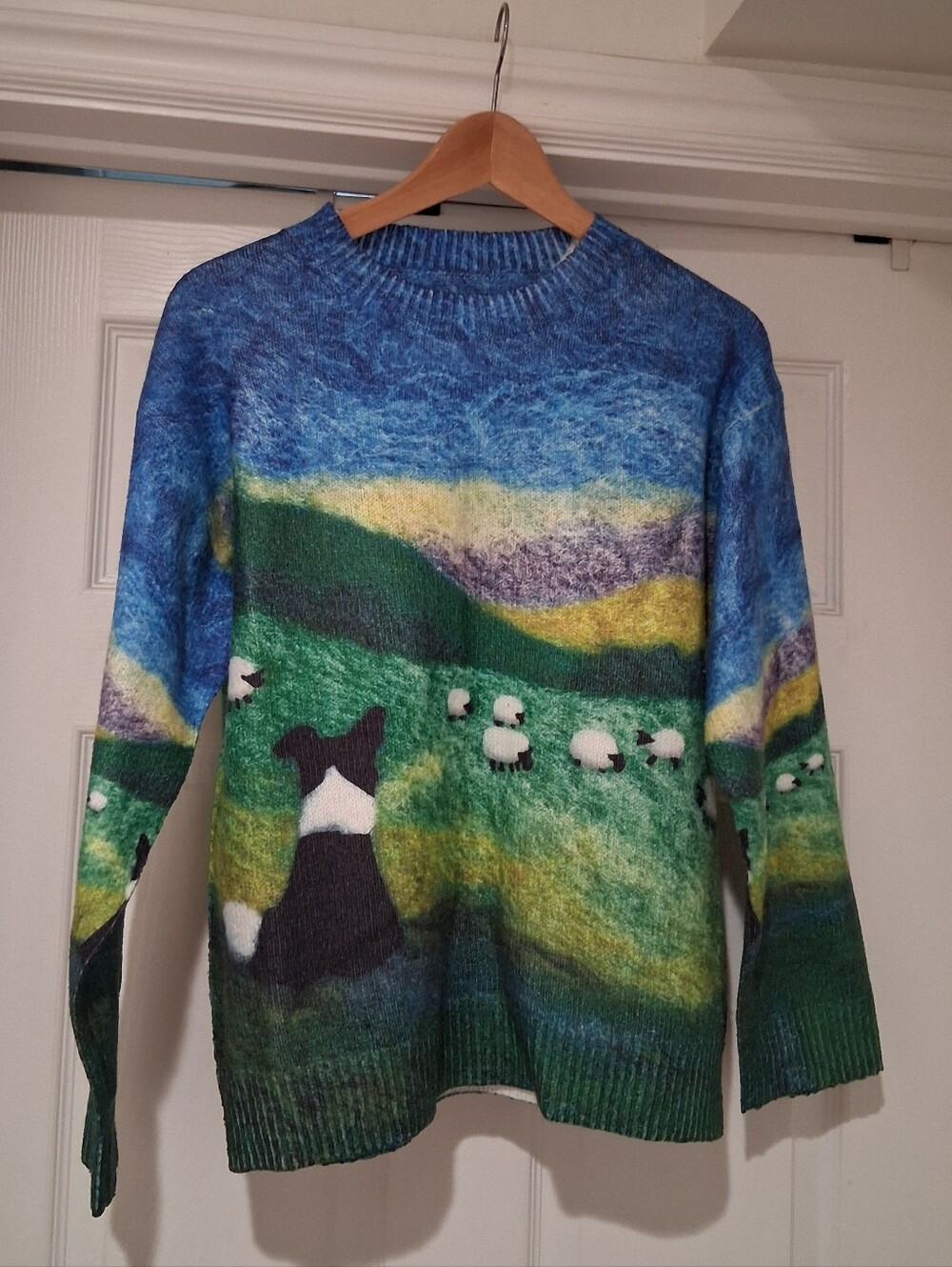 Gorgeous Winter Sweater